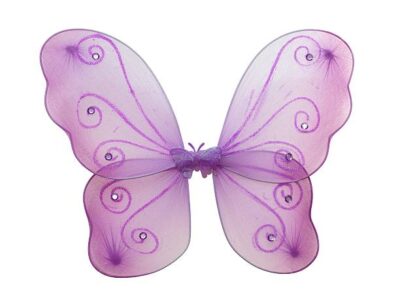 Butterfly Wings