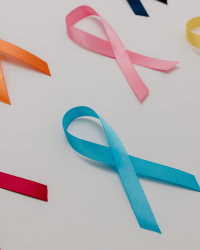 Collar Ribbon 03