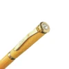 Gold Plate WB 0000s 0002 20240911 164222 1