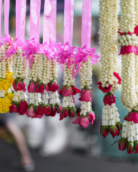 Thoranam 03