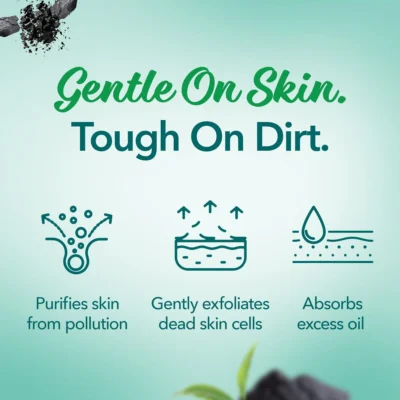 himalaya pollution detox charcoal face pack 100g pack of 2 product images orvqahaagzq p609961880 2 202409131744