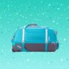 American Tourister small duffle Green Grey 4