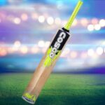Blaster Kashmir willow Cricket Bat (Code:18019)