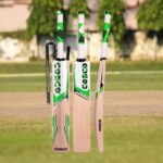 Dynamite Kashmir Willow Cricket Ball (Code:18006)