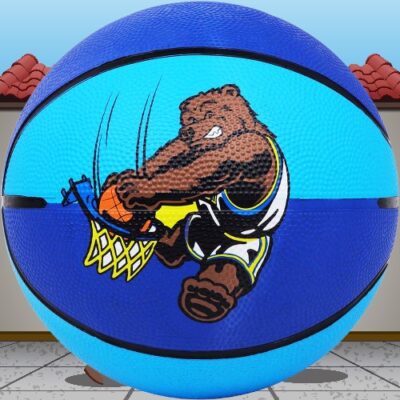 Multi-Graphics Moulded Basketball (Code: 13011)