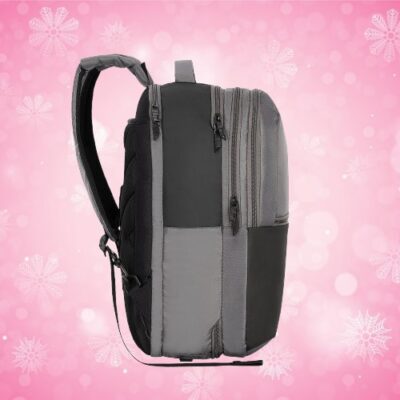 Segno 2 Way Backpack Grey