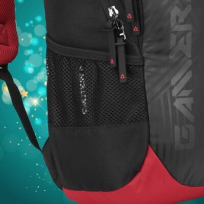 Skybags GAMERAZE 01 GAMING LAPTOP BACKPACK 6