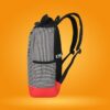 Skybags GRAD PLUS 01 LAPTOP BACKPACK Red Black 3 removebg preview