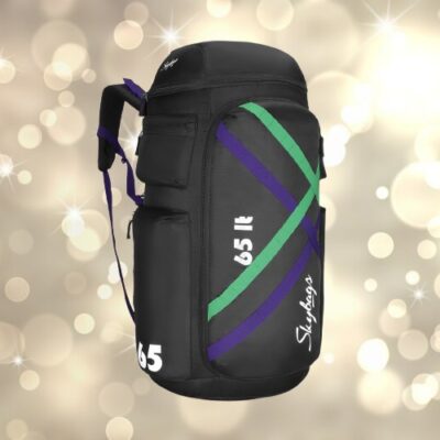 Skybags RIDGE 02 65L RUCKSACK 6