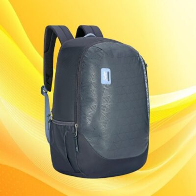 Skybags WHIZ LAPTOP BACKPACK 01 Grey 7