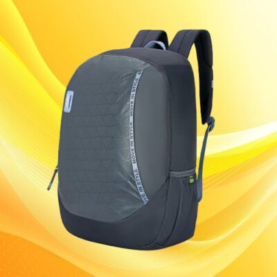Skybags WHIZ LAPTOP BACKPACK 01 Grey 8