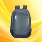 Skybags WHIZ LAPTOP BACKPACK 01 Grey 9