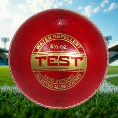 Test Cricket Ball (Code:19021)