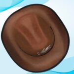 Round Hat (Yash:196)