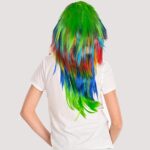 Rainbow Wig (Yash:149)