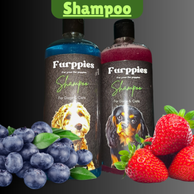 Shampoo for Cat & Dog (Strawberry, Blueberry)