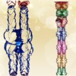 Polyester Decorative Hanging (Noori Chain 332)