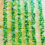 Artificial Flower and Leaf Garland for Decoration (DP-162)
