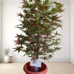 Artificial Plant