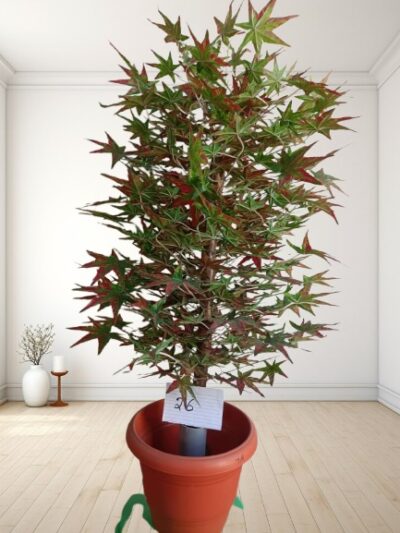 Artificial Plant