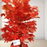 Artificial Plant