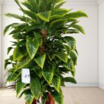Artificial Plant