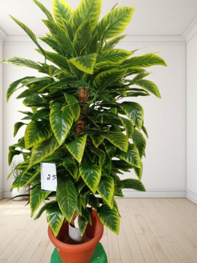 Artificial Plant