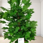 Artificial Plant