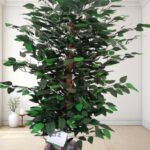 Artificial Plant