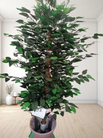 Artificial Plant