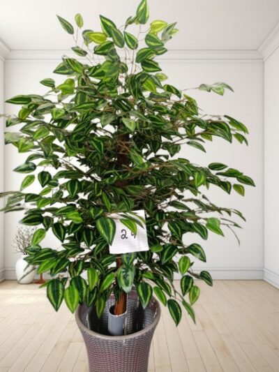 Artificial Plant
