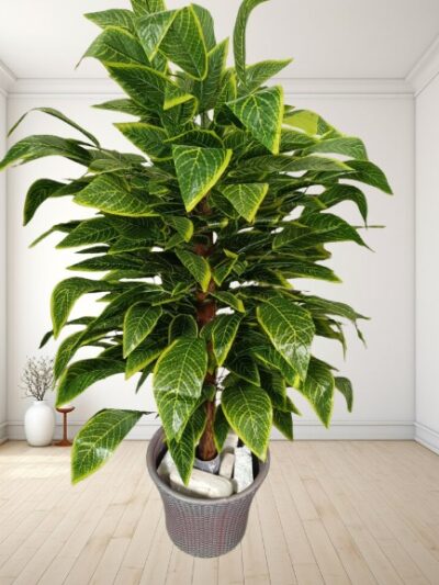 Artificial Plant