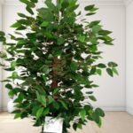 Artificial Plant