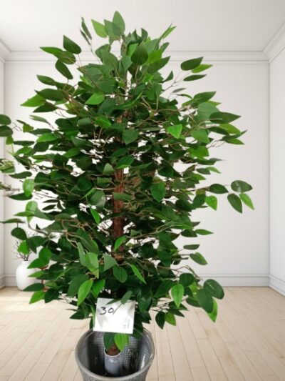 Artificial Plant