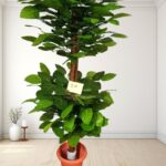 Artificial Plant