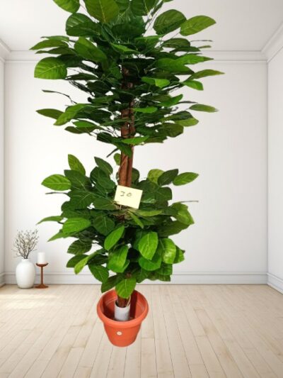 Artificial Plant