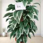 Artificial Plant
