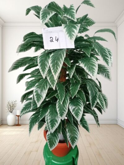 Artificial Plant