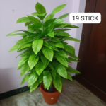 Artificial Plant