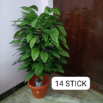 Artificial Plants
