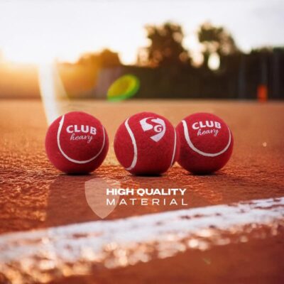 SG Cricket Ball - Club Heavy (Pack of 6) | All-Weather Rubber Composite | Indoor & Outdoor Play | Heavy Inner Core | Regular Tennis Ball Size