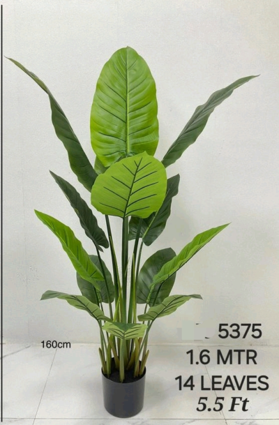 Artificial Plants with 14 Leaves and Height 5.5 Feet (Code:5375)