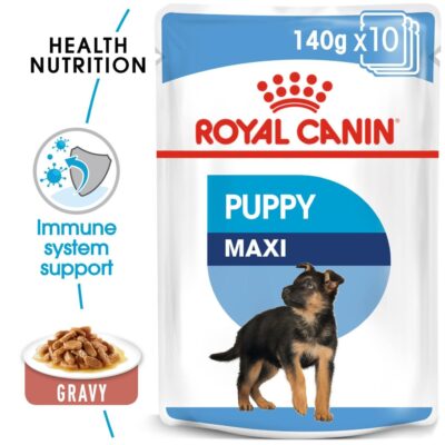 Royal Canin Maxi Puppy Food for Stage 3, 140 Grams, Pack of 10 Sachet, Wet Food, Supports Immune System & digestive health, Provides Long growth, moderate energy