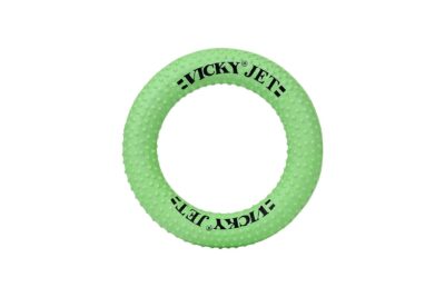 Vicky Kids Jet Sponge Ring (Dotted) Green