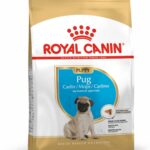 Royal Canin Pug Puppy Food, 1.5 Kg, Dry Food, Supports Healthy Immune System & Digestive Health, Promotes Healthy Skin