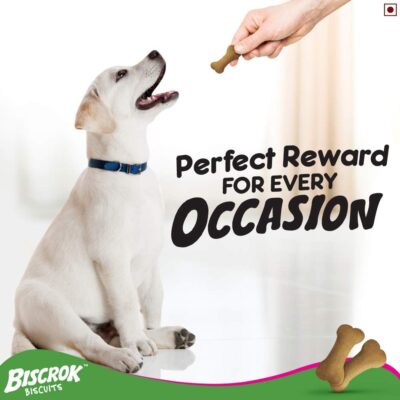 Pedigree All Life Stages Biscrok Biscuits (Above 4 Months), Milk and Chicken Flavor