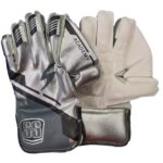 SS Wicket Keeping Gloves Academy Youth