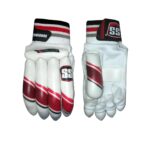 SS Cricket Batting Gloves College MX Boys LH