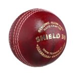 SG Shield 30 Two-Piece Water Proof Cricket Leather Ball Multicolor
