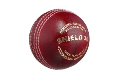 SG Shield 30 Two-Piece Water Proof Cricket Leather Ball Multicolor